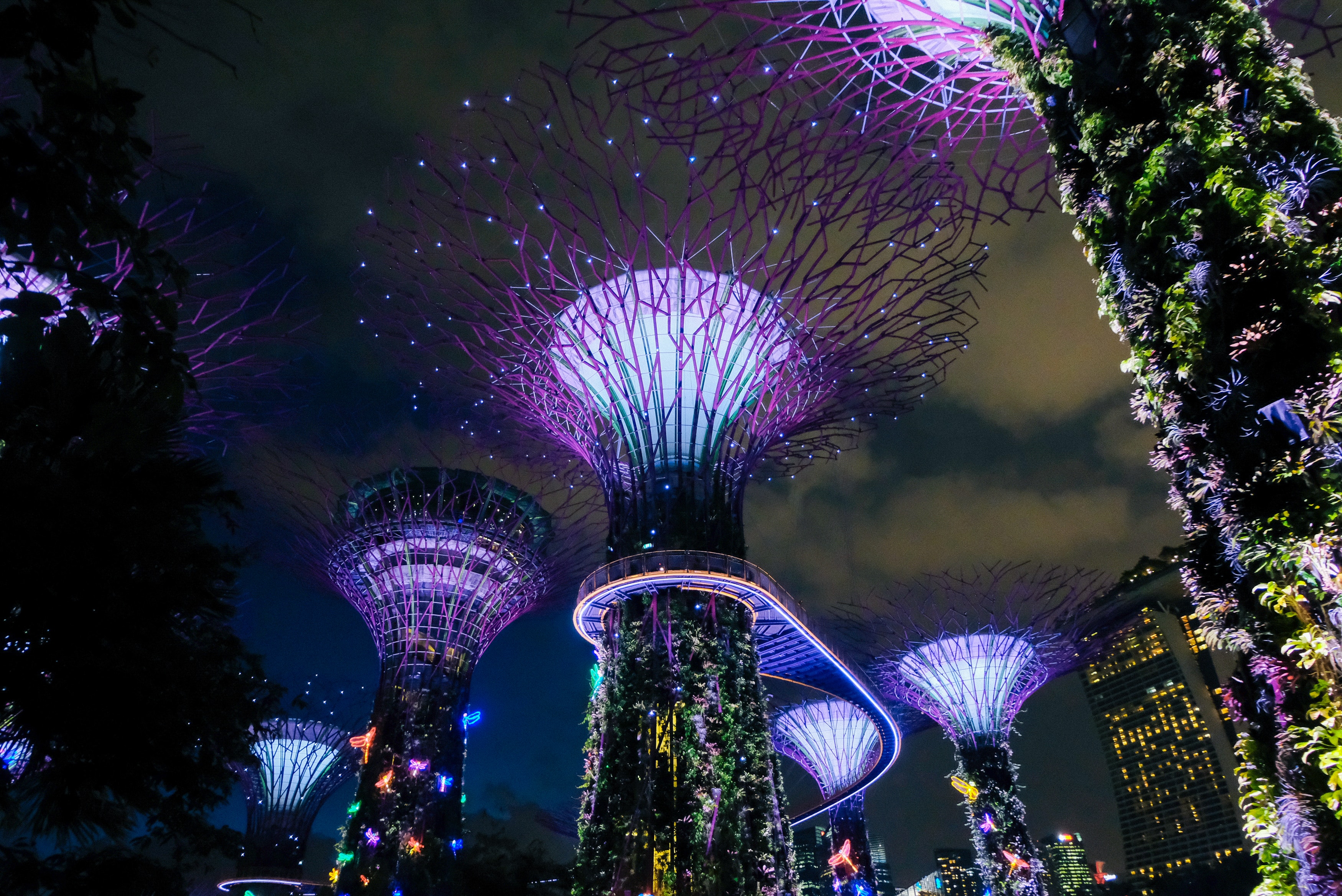 Picture of Gardens by the Bay